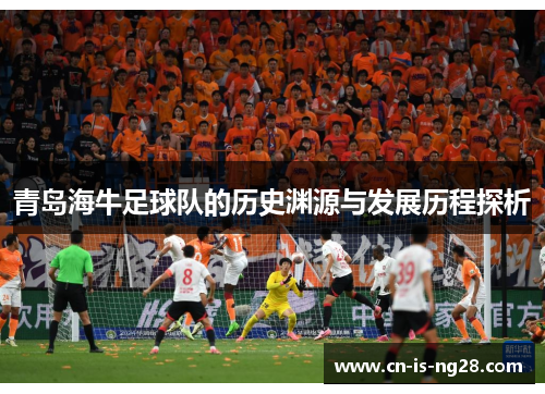 青岛海牛足球队的历史渊源与发展历程探析