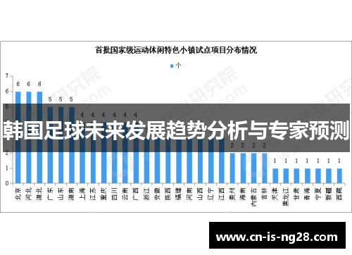 韩国足球未来发展趋势分析与专家预测