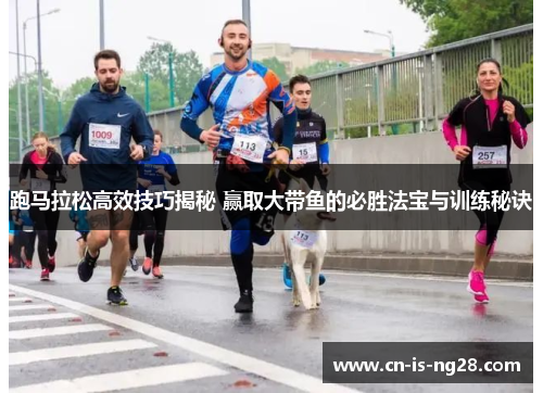 跑马拉松高效技巧揭秘 赢取大带鱼的必胜法宝与训练秘诀