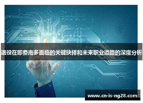 退役在即费南多面临的关键抉择和未来职业道路的深度分析