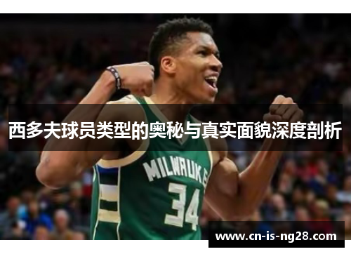 西多夫球员类型的奥秘与真实面貌深度剖析