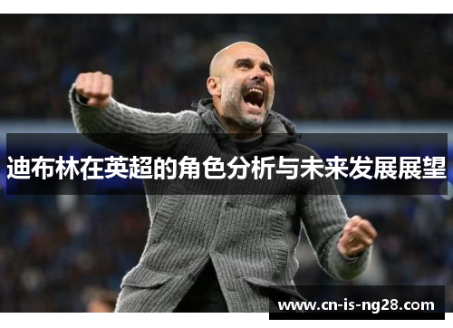 迪布林在英超的角色分析与未来发展展望