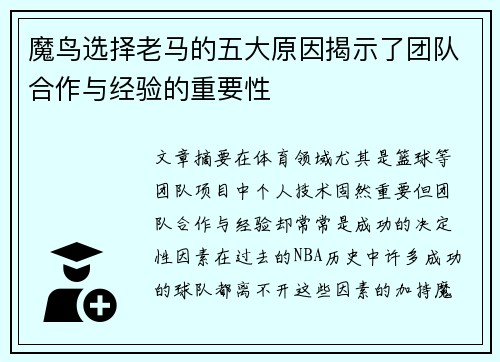 魔鸟选择老马的五大原因揭示了团队合作与经验的重要性