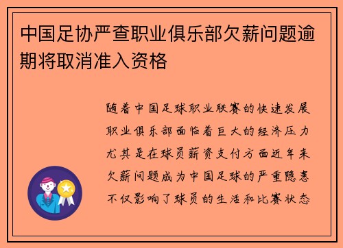 中国足协严查职业俱乐部欠薪问题逾期将取消准入资格